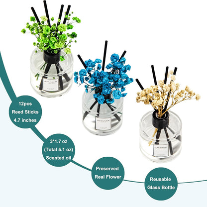 Reed Diffuser Set of 3 Pack,Lavender Eucalyptus/White Jasmine/Lemongrass Scented Oil Diffuser with 24 Sticks(1.7 fl oz Each Pack),Air Freshener for Bedroom Bathroom Office | Shelf Decor