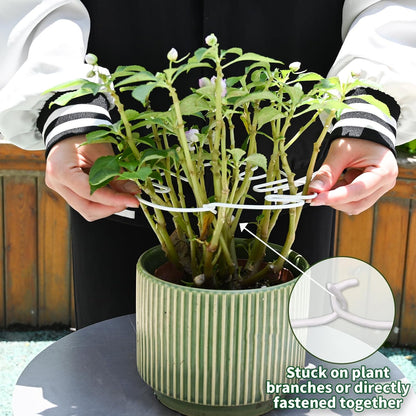 Yohsnor Monstera Plant Stem Support System - 5 Piece Set (5.5x4.7in) | Durable Plant Support Stakes for Climbing Plants & Fishbone Cactus | Ideal Leaf Stabilizer for Indoor Plants & Monstera Care