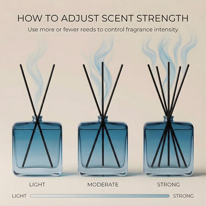 Reed Diffuser Set for Home Fragrance – 100ml Summer Sea Breeze Aromatherapy Diffuser with Reed Sticks, Long Lasting Flameless Fragrance for Bedroom, Bathroom & Living Room, Decorative Glass Bottle