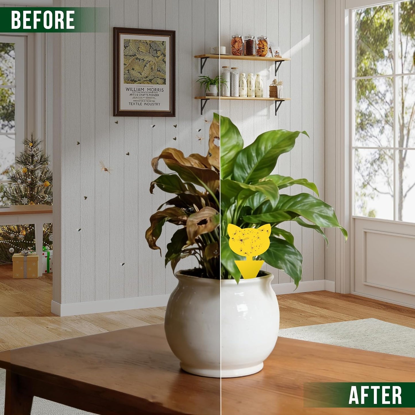 Garsum 36 Pack Fungus Gnat Traps Sticky Fruit Fly Trap Killer for Kitchen Indoor and Outdoor, Insect Fly Traps for House Plants, Whitefly, Mosquito Bits, Flying Insects