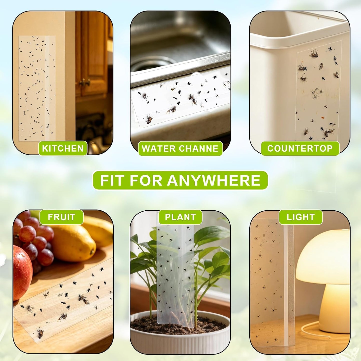 Landisun Fly Trap Indoor Fruit Fly Traps Mosquitos Gnat Windows Bug Sticky Glue Traps 30 Pack