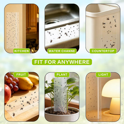 Landisun Fly Trap Indoor Fruit Fly Traps Mosquitos Gnat Windows Bug Sticky Glue Traps 30 Pack