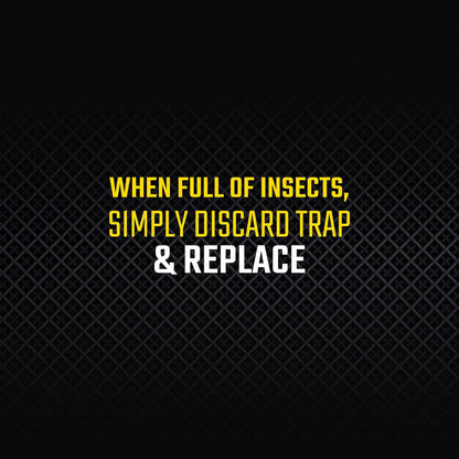Black Flag Fly Stick, Trap Houseflies and Flying Insects, Pack of 6