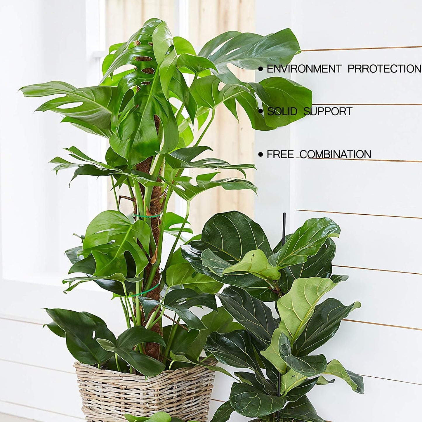 Augshy Moss Pole, 27 Inch Moss Poles - 2Pcs 17 Inch Plant Stakes Moss Sticks for Monstera Indoor Creepers Plant Support Extension Climbing Plants