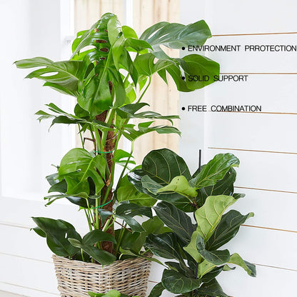 Augshy Moss Pole, 27 Inch Moss Poles - 2Pcs 17 Inch Plant Stakes Moss Sticks for Monstera Indoor Creepers Plant Support Extension Climbing Plants