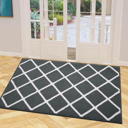 Finchitty Indoor Door Mat, Dirt Resistant and Absorbent, Low-Profile, Non-Slip, Washable Inside Floor Mats for Front Door, Back, and Entrance, 32" x 20", Grey
