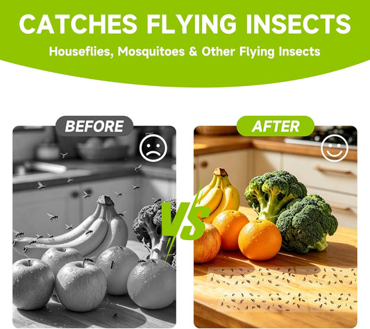 Landisun Fly Trap Indoor Fruit Fly Traps Mosquitos Gnat Windows Bug Sticky Glue Traps 30 Pack