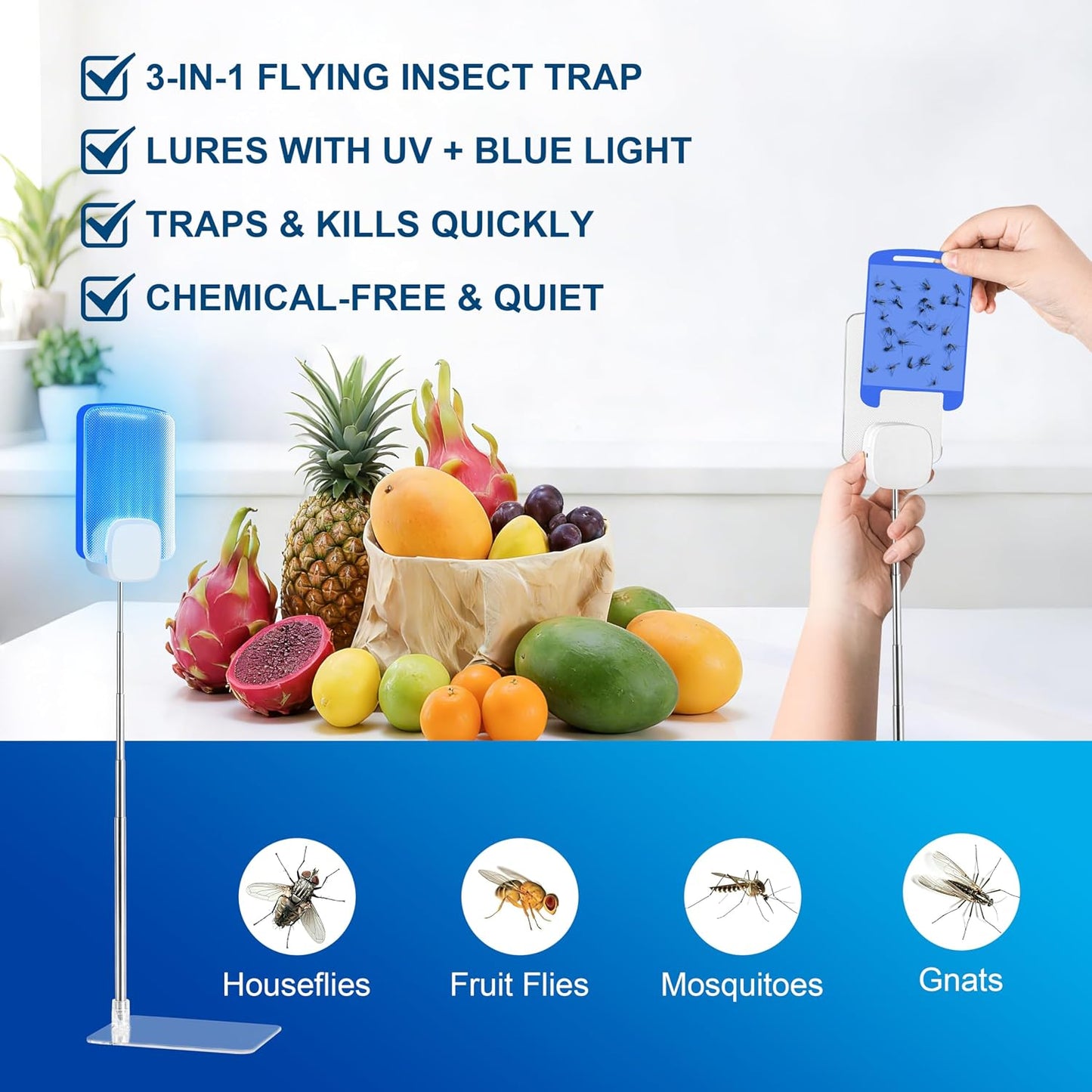 Insect Trap for Indoor Control of Fruit Flies and Gnats, Uses Gentle Purple Light, Pollution-Free and Chemical-Free, Includes 1 Plug-in Device and 4 Sticky Traps, with an Extendable Pole and Base