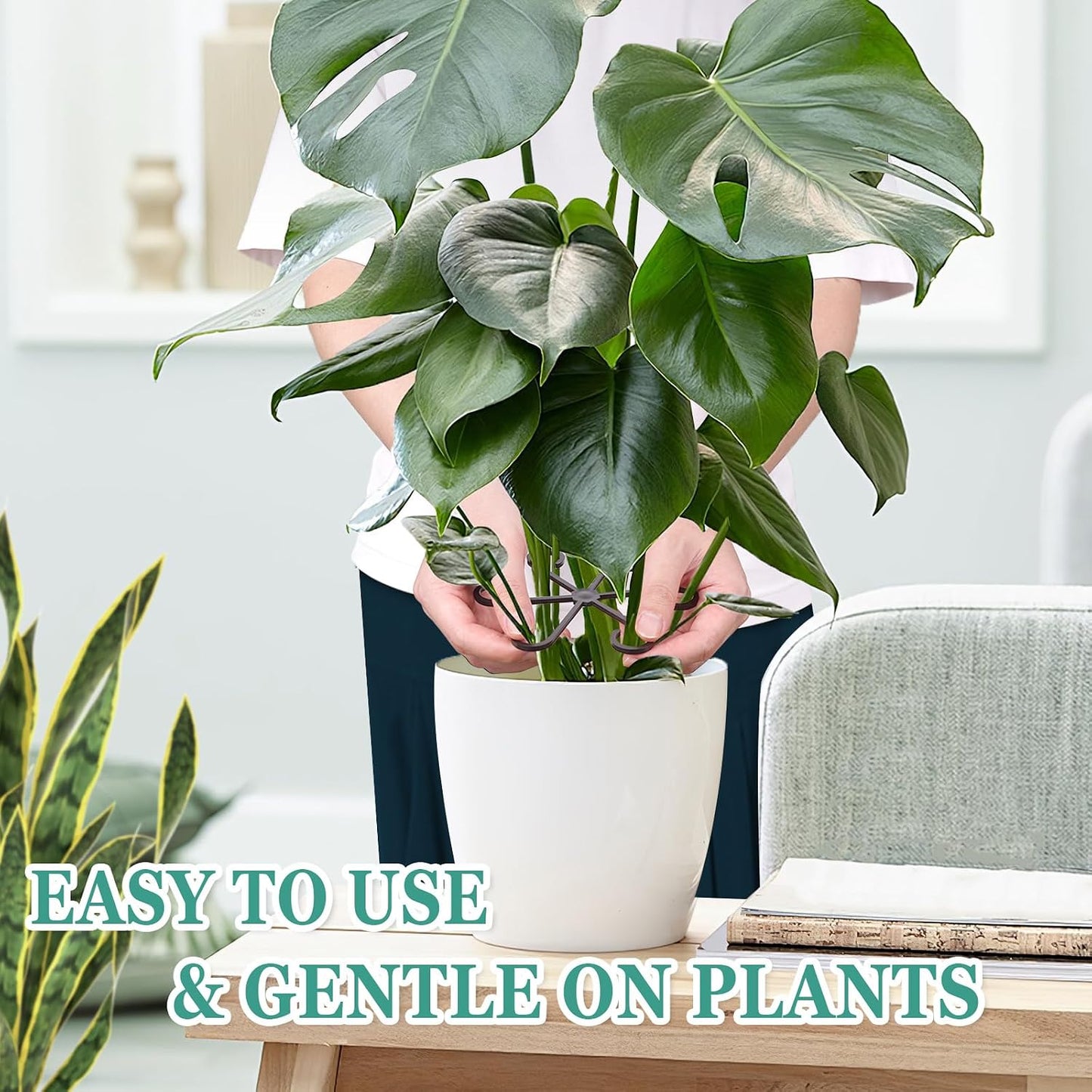 8pcs Plant Stem Support, Plant Support for Indoor Plants, Plastic Reusable Plant Stabilizer, Indoor Plants Accessories