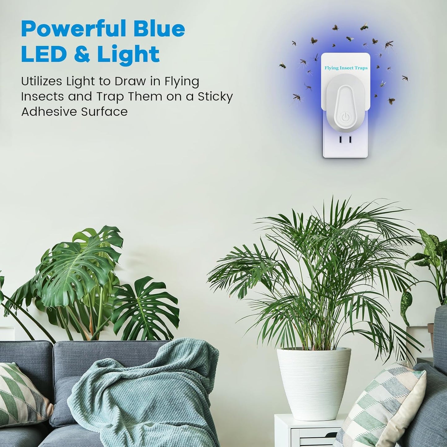 Indoor Fly Trap Plug-in Device, Fruit Fly and Gnat Trap with 2 Traps and 6 Sticky Refills, Flying Insect Catcher for Mosquitoes, Moths, and Household Flying Bugs (2, White)