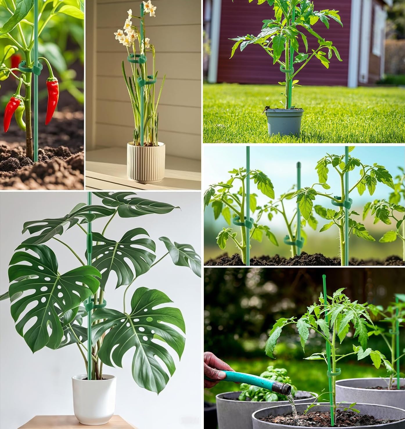10Pcs 17inch Plant Support Stakes for Orchid | Garden Sticks Extended to 3ft 4ft Orchid Sticks with Clips Garden Stakes for Tomato,Orchid,Vegetables,Monstera