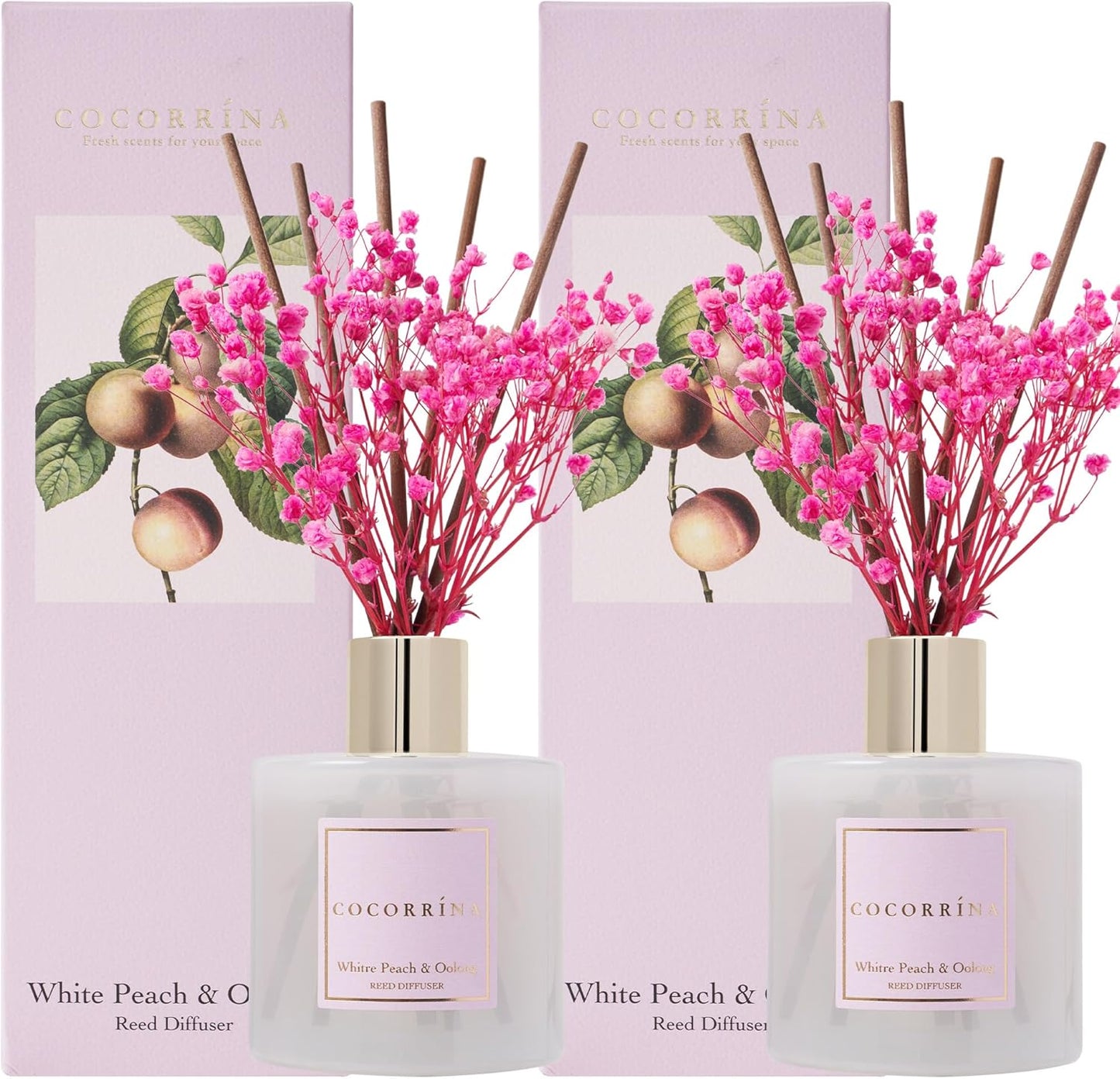Cocorrína Reed Diffuser Sets, 6.7 fl oz. Black Forest Diffuser with Sticks Home Fragrance Reed Diffuser for Bathroom Shelf Decor