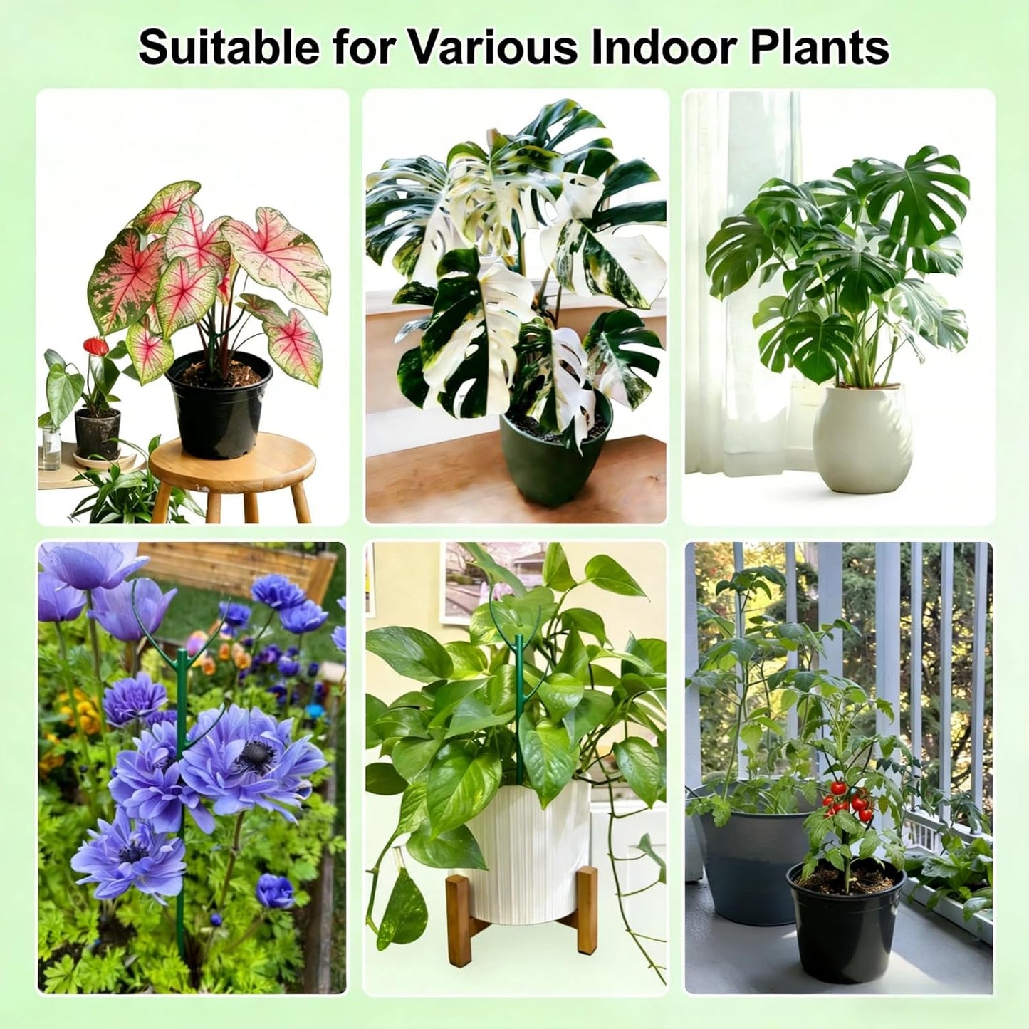 12 Pack Stackable Plant Stakes, Monstera Plant Support, Climbing Plant Stakes for Indoor & Outdoor Potted Plants, Branch-Like Shape Stem Accessories (12 Pack)