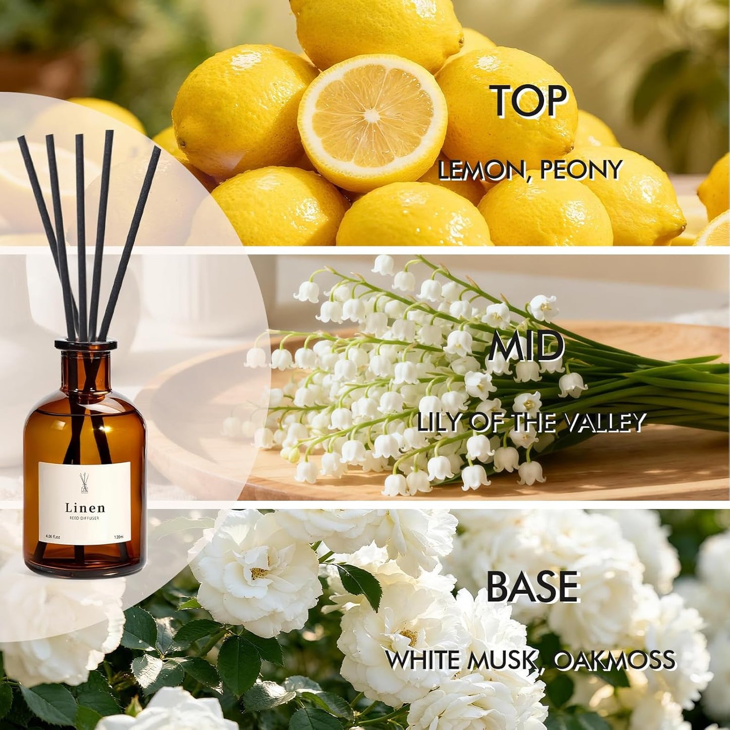 Reed Diffuser Set, 8.12 fl.oz Citrus Scent Oil Diffuser with Sticks, Long-Lasting Home Fragrance Reed Diffuser for Bathroom Shelf Decor, Air Freshener Room Diffuser, 2 Pack