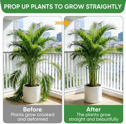 HiGift 10 Pack 24" H x 10" W Tall Plant Support Stakes, Half Round Metal Peony Cages and Supports, Monstera Plant Support Snake Plant Stake Flower Support Ring for Tomato, Hydrangea Outdoor Indoor