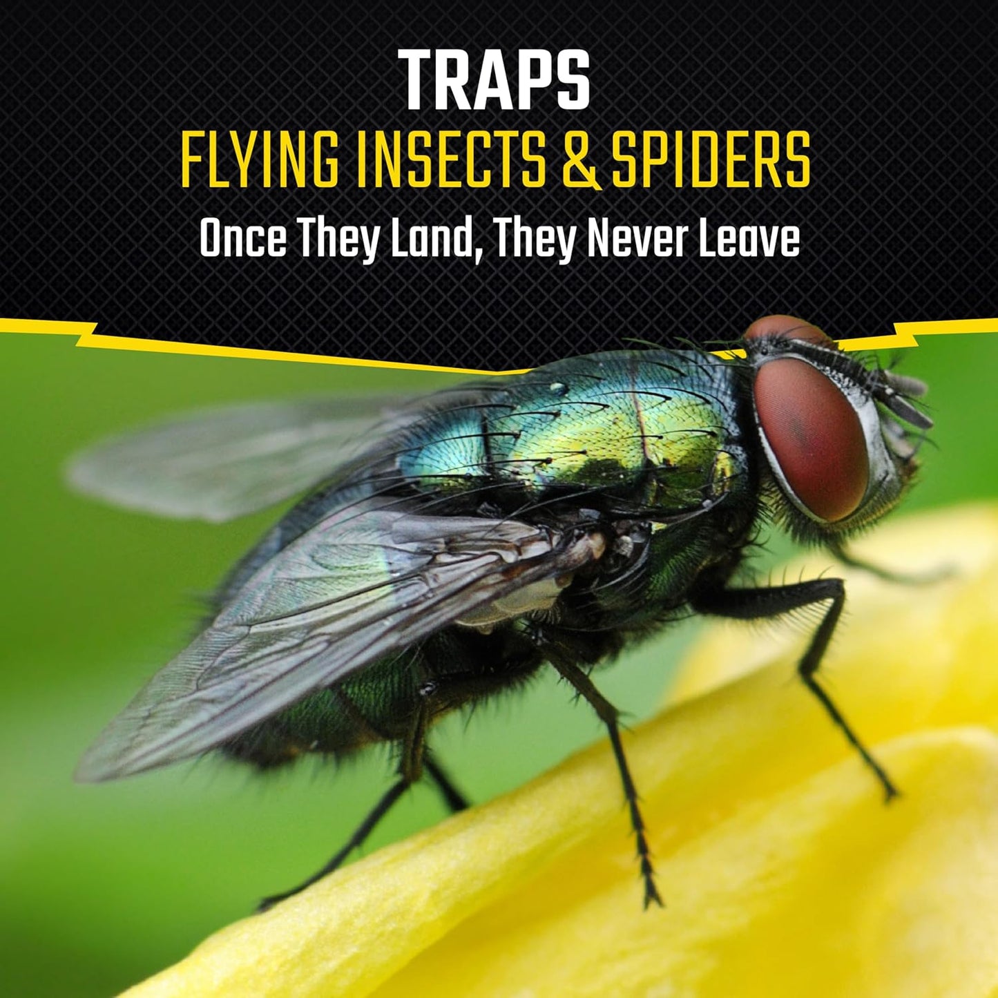 Black Flag Fly Stick, Trap Houseflies and Flying Insects, Pack of 6