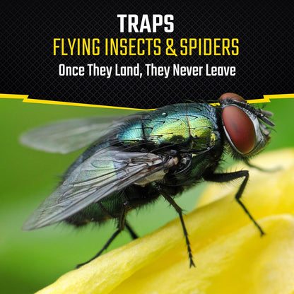 Black Flag Fly Stick, Trap Houseflies and Flying Insects, Pack of 6