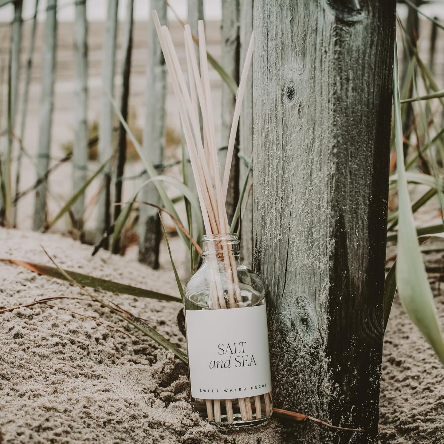 Sweet Water Decor Salt & Sea Reed Diffuser Set - Sea Salt Citrus & Musk Amber Scent Diffuser - Reed Diffusers for Home with Long Lasting Fragrance - Non-Toxic Oil Reed Diffuser - Made in the USA
