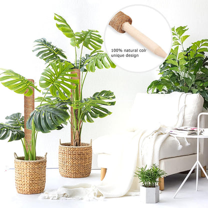 Augshy Moss Pole, 27 Inch Moss Poles - 2Pcs 17 Inch Plant Stakes Moss Sticks for Monstera Indoor Creepers Plant Support Extension Climbing Plants