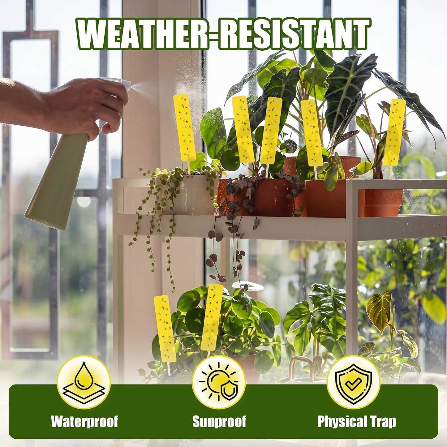 36 PCS Yellow Sticky Traps for Plant Gnats, Dual Sided Fungus Gnat Trap for Live Plants Indoor Outdoor, Waterproof Plant Sticky Traps for Home, Farm, Garden, Hydroponics & Greenhouse (4" x 1")