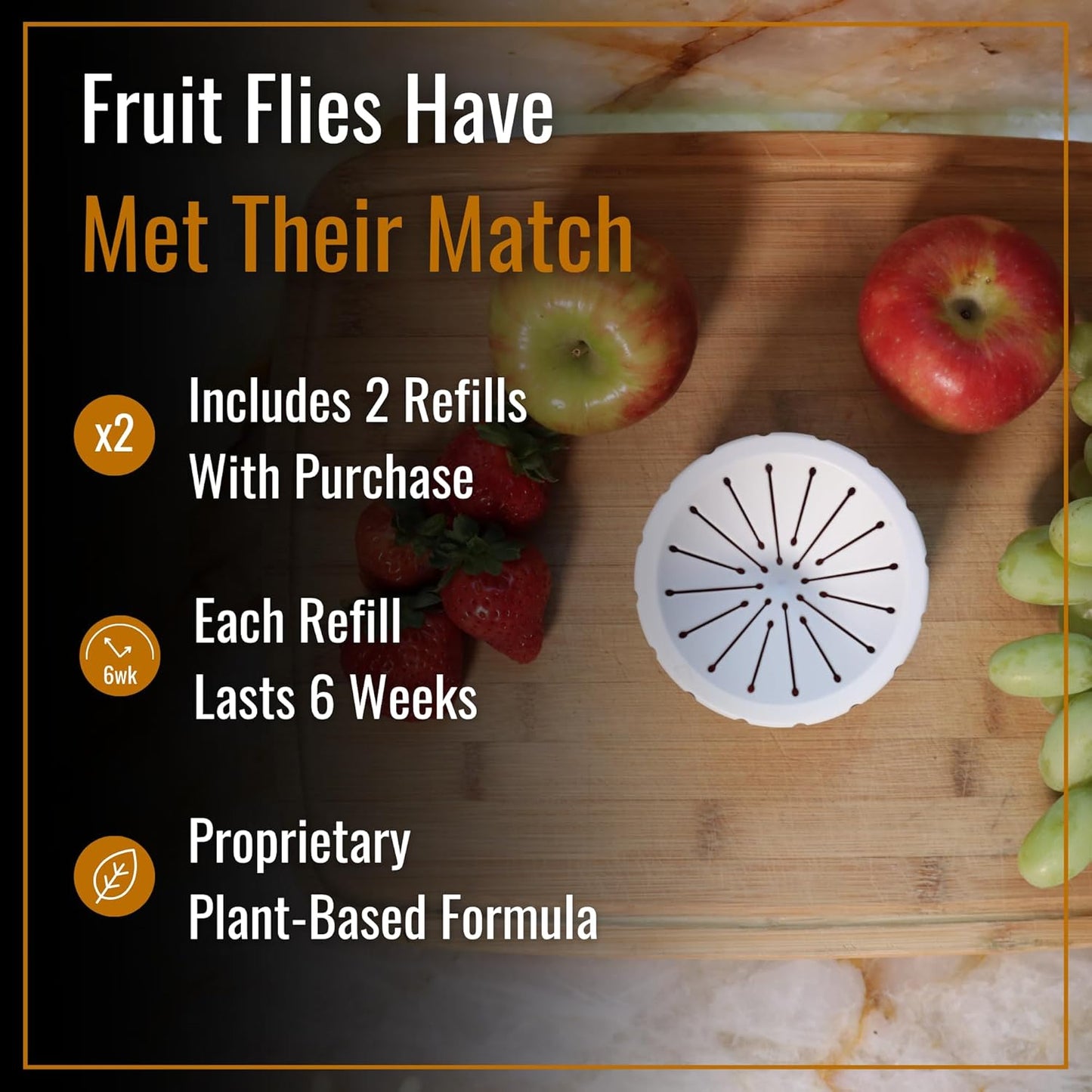 Dr. Killigan's Reusable Fruit Fly Traps for Indoors - Washable with 2 Refills, 80+ Day Supply, Highly Effective for Home and Kitchen