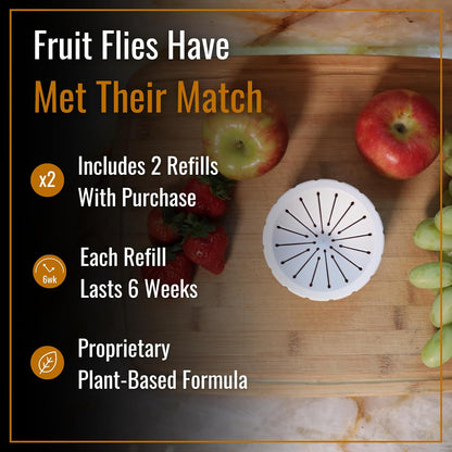 Dr. Killigan's Reusable Fruit Fly Traps for Indoors - Washable with 2 Refills, 80+ Day Supply, Highly Effective for Home and Kitchen