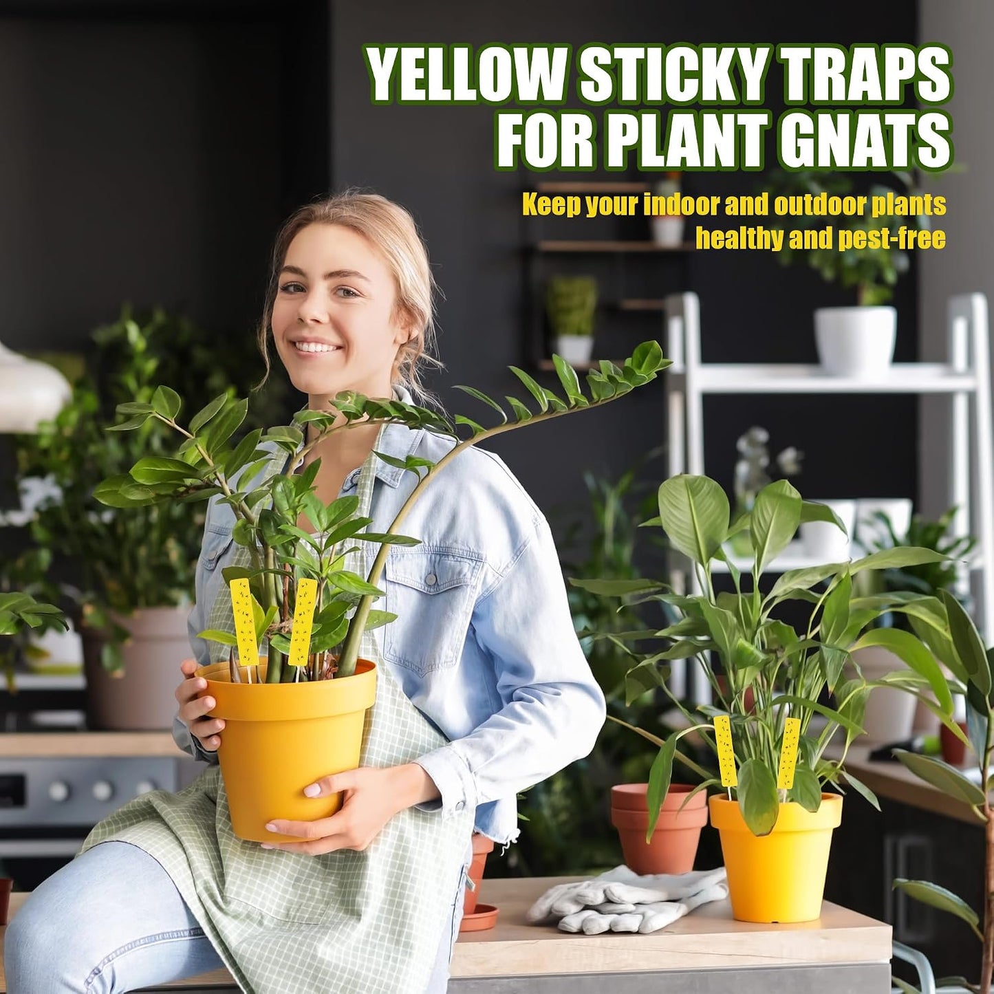 36 PCS Yellow Sticky Traps for Plant Gnats, Dual Sided Fungus Gnat Trap for Live Plants Indoor Outdoor, Waterproof Plant Sticky Traps for Home, Farm, Garden, Hydroponics & Greenhouse (4" x 1")