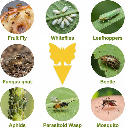 Fruit Fly Sticky Trap 46 Pack - Gnats Insect Traps for Indoor Outdoor, Yellow Double-Sided Sticky Insect Catchers Fungus, Fruit Flies, Whiteflies, Aphids, Leaf Miners