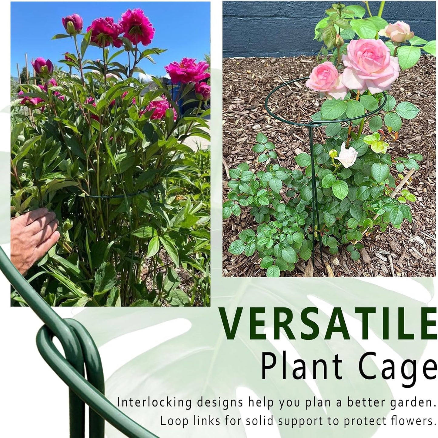 6 Pack Detachable & Assemblable Metal Plant Support Stakes - Garden Support Ring, Tomato Seedling Cage, Young Monstera/Pothos for Growing Indoor/Outdoor (10" W x 16" H)