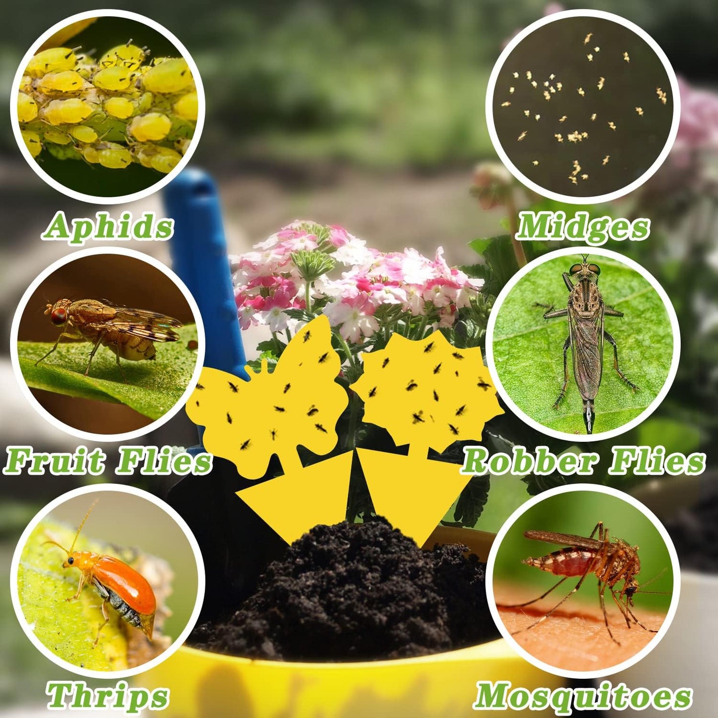 Fruit Fly Traps Indoor Fungus Gnat Trap 48PCS for Plants Yellow Houseplants Outdoor Use Insect Sticky