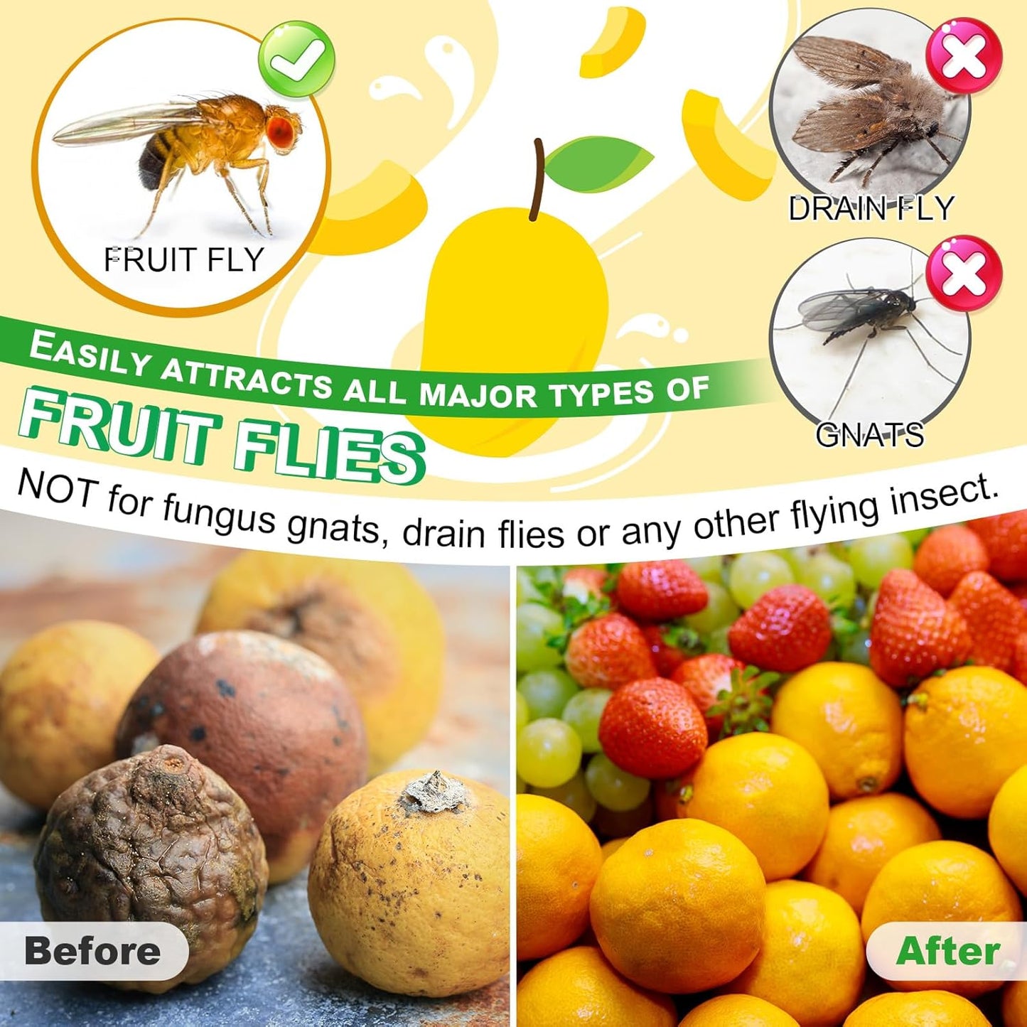Qualirey Fruit Fly Trap for Indoor and Kitchen Use, 0.68 oz Each Bottle Fruit Fly Trap Refill Liquid, Ready to Use, Safe Near Food, Efficient Lure Refill Liquid, Yellow(12 Pack)