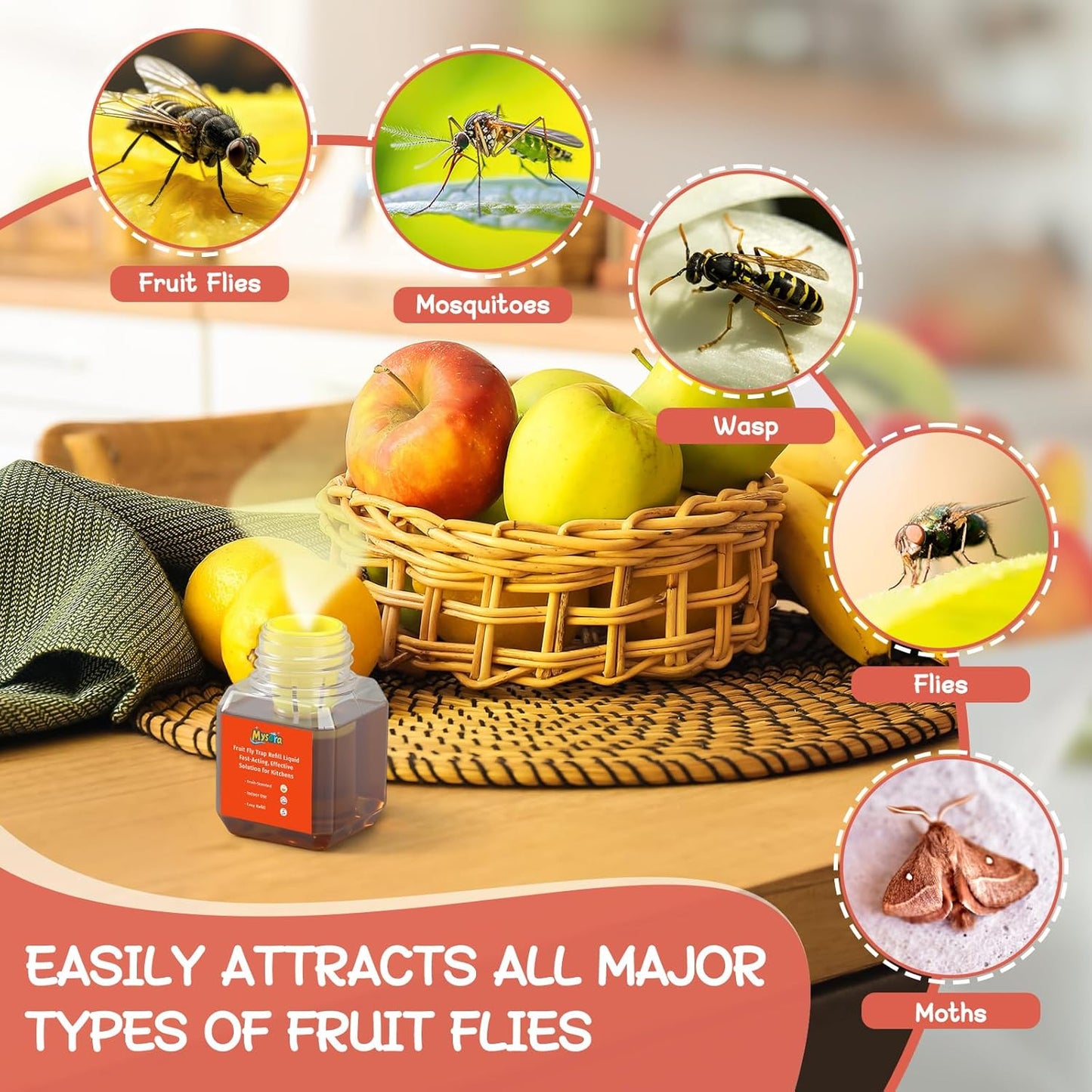 4 Pack Fruit Fly Trap Refill Liquid, with Funnel, 0.68 Ounces Per Bottle, Effective Fruit Fly Bait Refill, Suitable for Indoor Use, Kitchen Countertops, Home Environments, Non-Toxic
