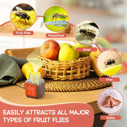 4 Pack Fruit Fly Trap Refill Liquid, with Funnel, 0.68 Ounces Per Bottle, Effective Fruit Fly Bait Refill, Suitable for Indoor Use, Kitchen Countertops, Home Environments, Non-Toxic