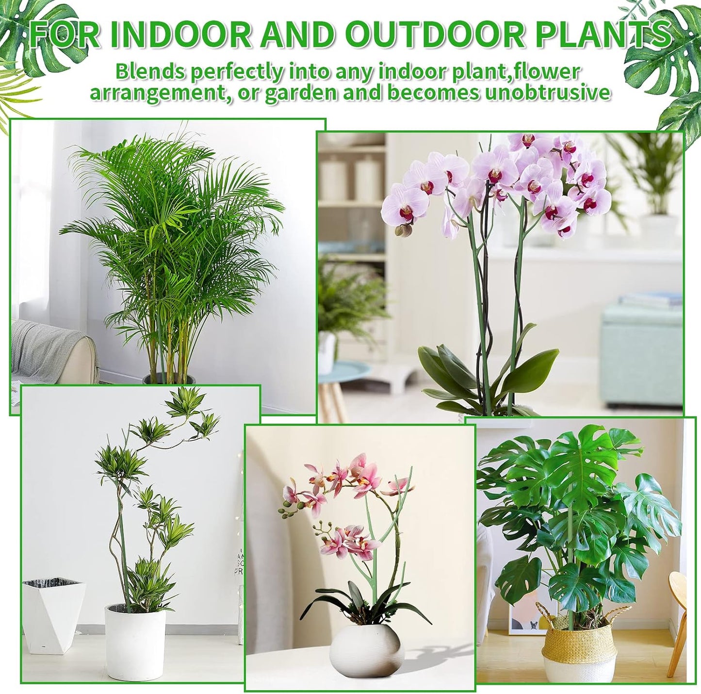 ROADPLUM 4 Pack 39.37" Detachable Twig Plant Support Stakes Set, Blends in to Plant, Branch Plant Sticks with Orchid Clips Twist Plant Ties, Twig Trellis for Indoor Outdoor Plants Potted Plants Flower