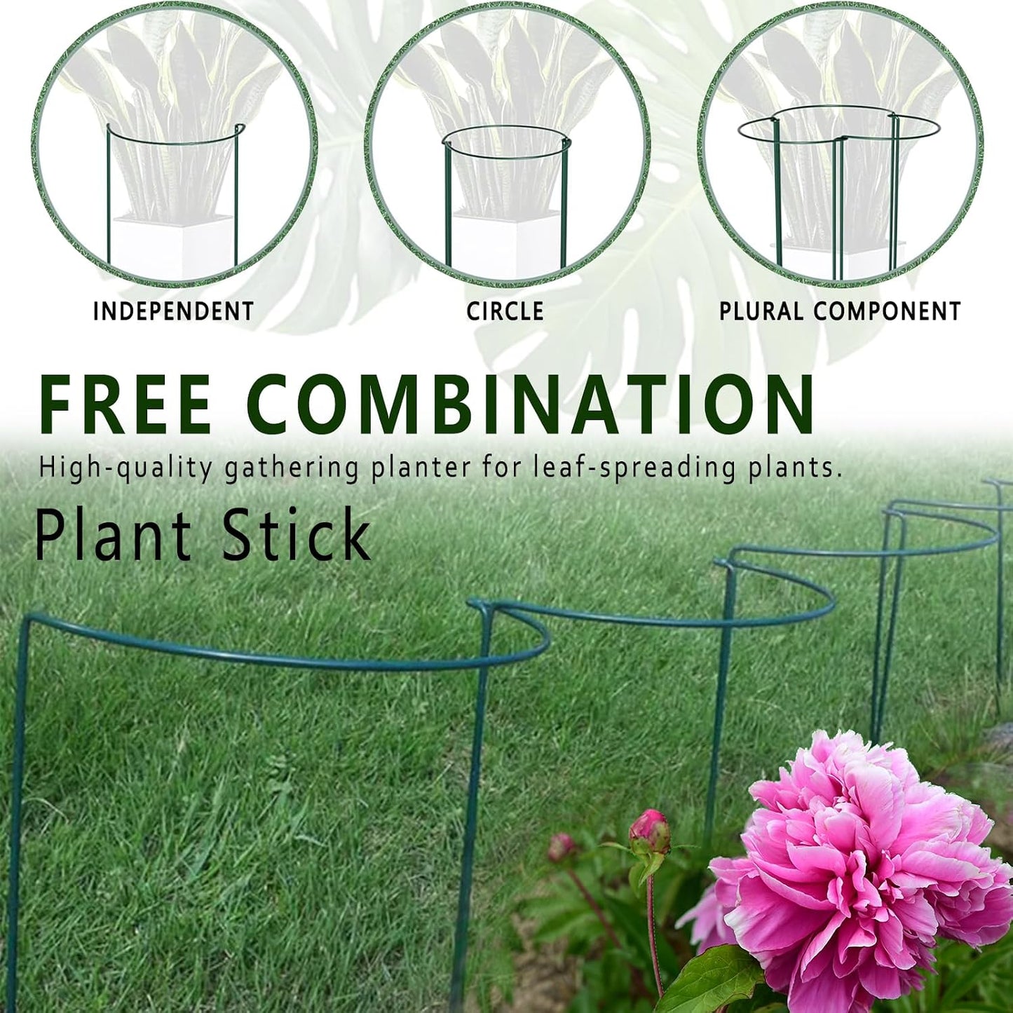 6 Pack Detachable & Assemblable Metal Plant Support Stakes - Garden Support Ring, Tomato Seedling Cage, Young Monstera/Pothos for Growing Indoor/Outdoor (10" W x 16" H)