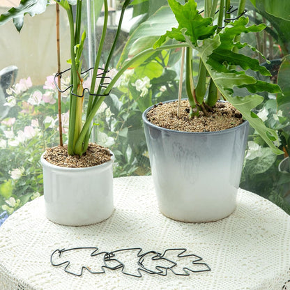 Yohsnor Monstera Plant Stem Support System - 5 Piece Set (5.5x4.7in) | Durable Plant Support Stakes for Climbing Plants & Fishbone Cactus | Ideal Leaf Stabilizer for Indoor Plants & Monstera Care