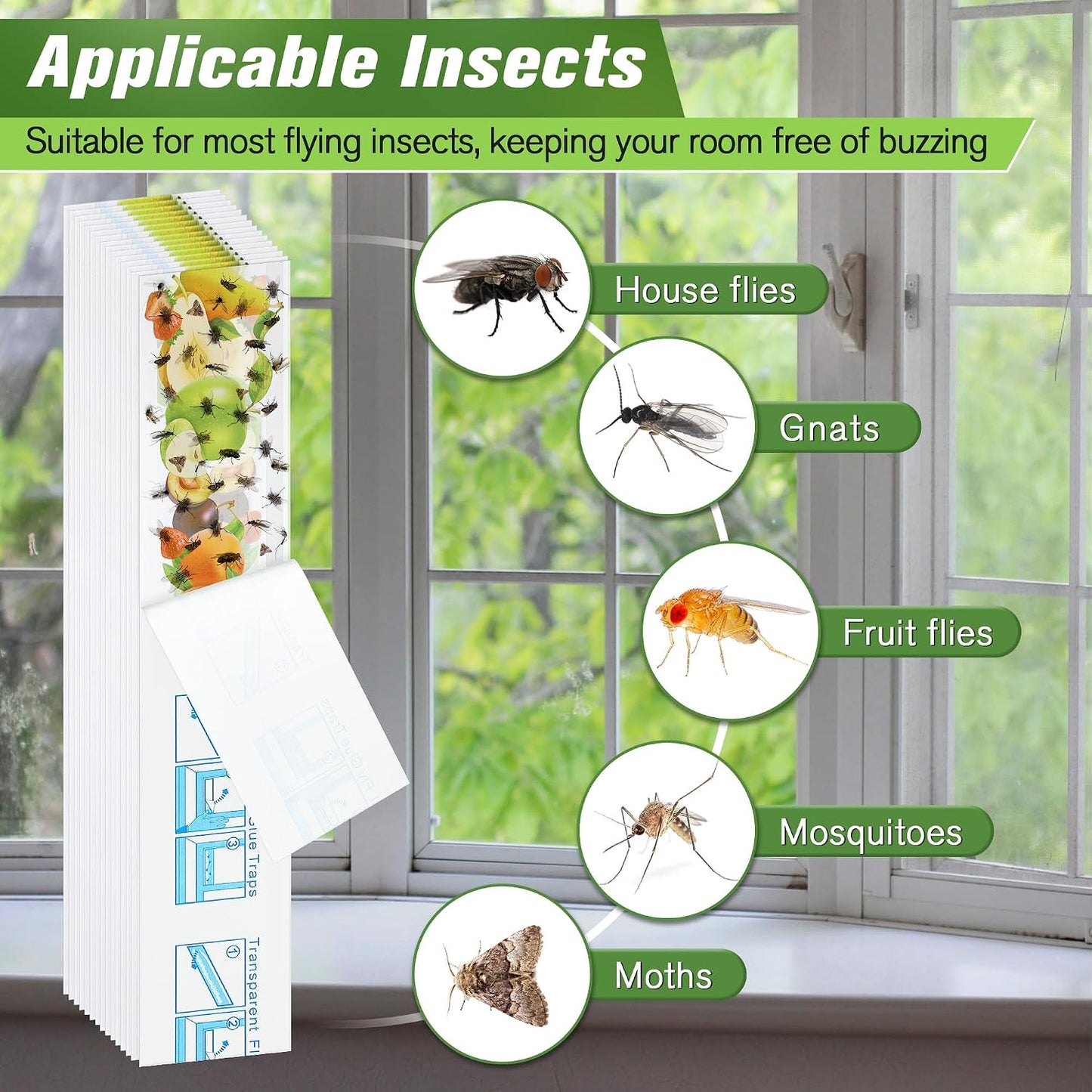 Qualirey 30 Pack XL Window Fly Traps for Indoors, Extra Large Fly Paper Sticky Strips, Waterproof & Non Toxic Clear Sticky Traps for Windows, Bug Catcher for House, Kitchen and Office(15"×3")