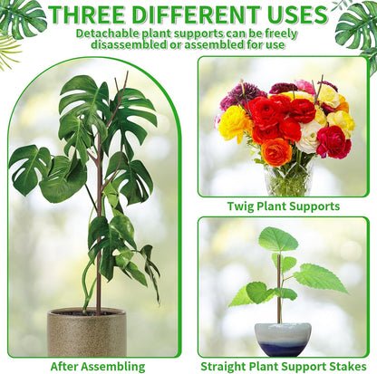 ROADPLUM 4 Pack 39.37" Detachable Twig Plant Support Stakes Set, Blends in to Plant, Branch Plant Sticks with Orchid Clips Twist Plant Ties, Twig Trellis for Indoor Outdoor Plants Potted Plants Flower