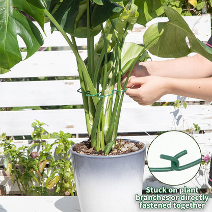 Yohsnor Monstera Plant Stem Support System - 5 Piece Set (5.5x4.7in) | Durable Plant Support Stakes for Climbing Plants & Fishbone Cactus | Ideal Leaf Stabilizer for Indoor Plants & Monstera Care