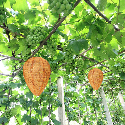 DECYOOL 8 Pack Paper Wasp Nest Decoy Hanging Wasp Deterrent for Wasps Hornets Yellow Jackets