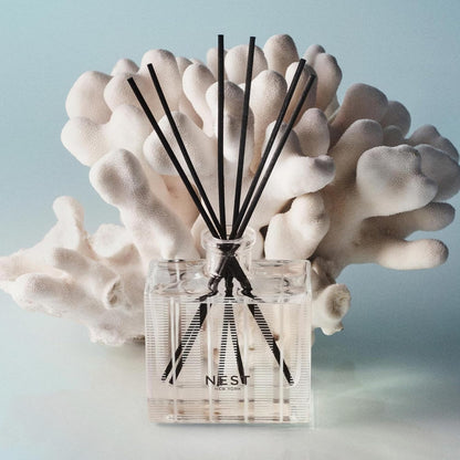 NEST New York Reed Diffuser, Moroccan Amber - 5.9 fl oz - Fragrance for Up to 90 Days - Reusable, Refillable Glass Holder - Includes 8 All-Natural Reed Sticks - Flame Free
