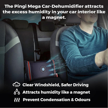 Reusable Car Dehumidifier Bag (1 Pack) Rechargeable Dehumidifier bags for Car, Trucks, and RVs - Prevent Damp & Moisture on Windscreens - Leakproof Moisture Absorber for Car and Home