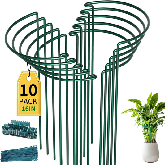 TCBWFY 10 Pack Plant Support Stakes for Peony,10"Widex24"High Heavy Duty 4.5mm Peony Cages and Support,Metal Peony Supports for Outdoor Indoor Plants,Plant Supports for Peony