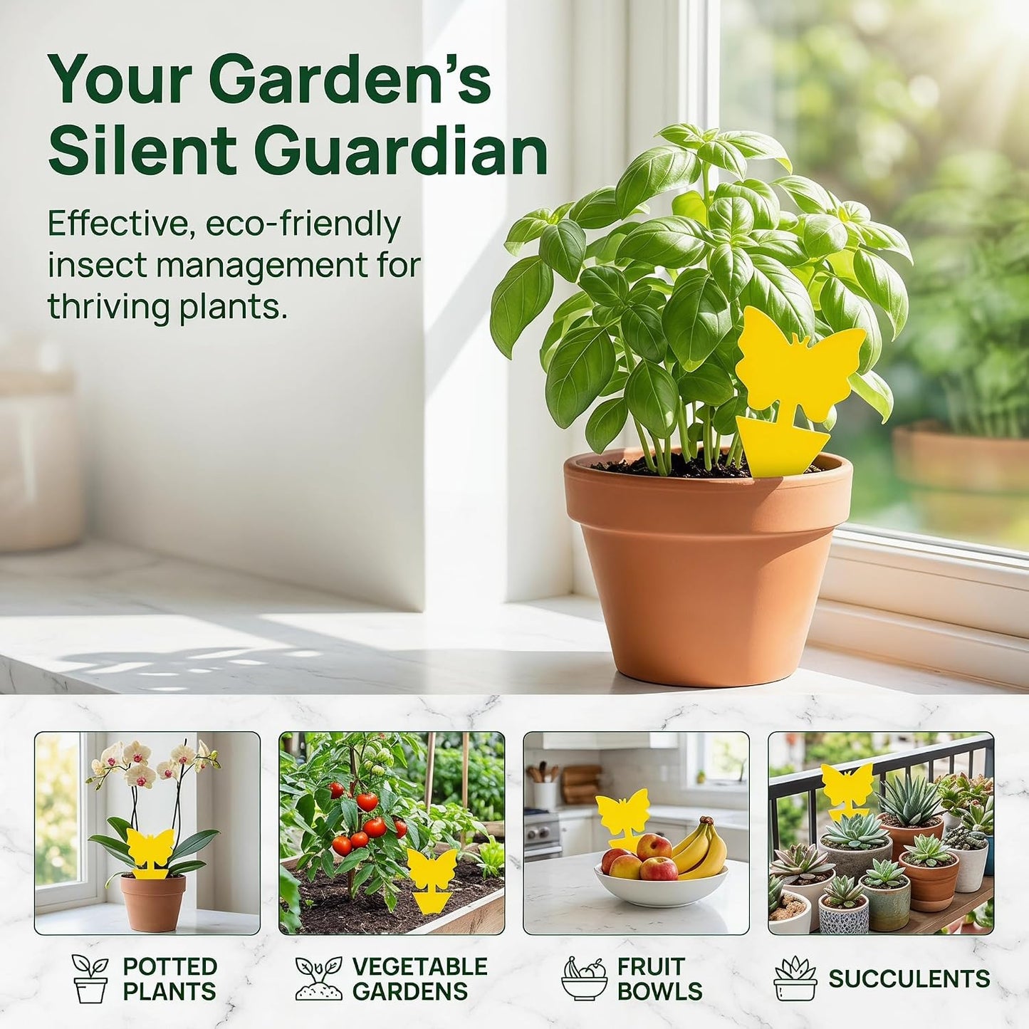 Fruit Fly Sticky Traps for Indoor & Outdoor, 48 Pack, Fungus Gnat Killer for Houseplants, Mosquitoes, Flying Insects & Whiteflies