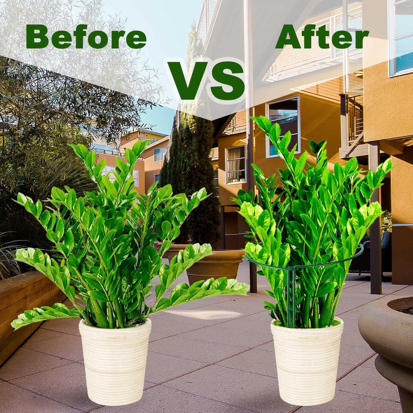 HiGift Peony Cages and Supports 24" H x 10" W, 8 Pack Tall Snake Plant Support Stake Half Round Metal Garden Stake for Indoor and Outdoor Plants, Flower Support Ring Border for Tomato,Hydrangea,Rose