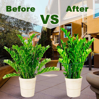HiGift Peony Cages and Supports 24" H x 10" W, 8 Pack Tall Snake Plant Support Stake Half Round Metal Garden Stake for Indoor and Outdoor Plants, Flower Support Ring Border for Tomato,Hydrangea,Rose