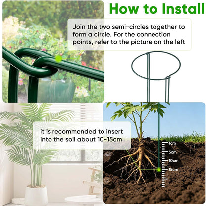 HiGift Peony Cages and Supports 24" H x 10" W, 8 Pack Tall Snake Plant Support Stake Half Round Metal Garden Stake for Indoor and Outdoor Plants, Flower Support Ring Border for Tomato,Hydrangea,Rose