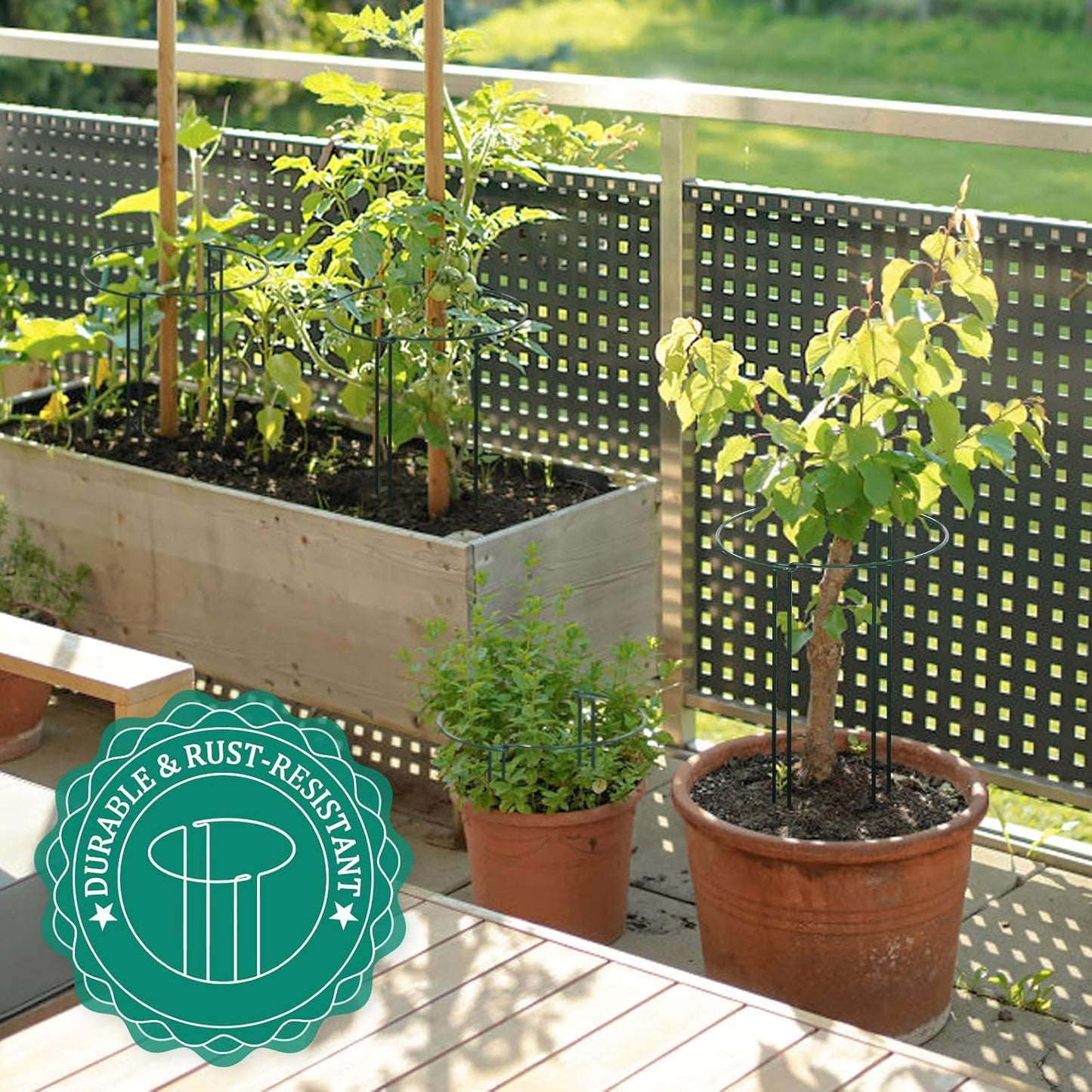 24 Pack Plant Support Stake, Half Round Metal Garden Plant Stake, Green Plant Support Ring, Border Support with Plant Lables & Plant Clips for Outdoor Indoor Plants, Vegetable, Flowers