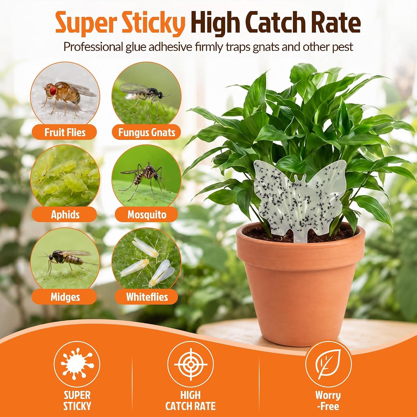 100 Pack Gnat Traps, Double Sided Plant Sticky Traps for Flying Insects, Clear Flying Bug Catcher for Indoor Outdoor Fruit Flies, Mosquitoes, Easy Release Liner for Plants, House
