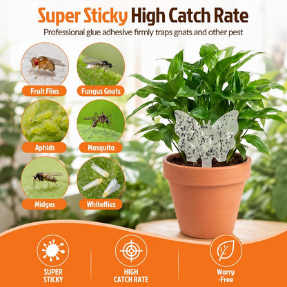 100 Pack Gnat Traps, Double Sided Plant Sticky Traps for Flying Insects, Clear Flying Bug Catcher for Indoor Outdoor Fruit Flies, Mosquitoes, Easy Release Liner for Plants, House